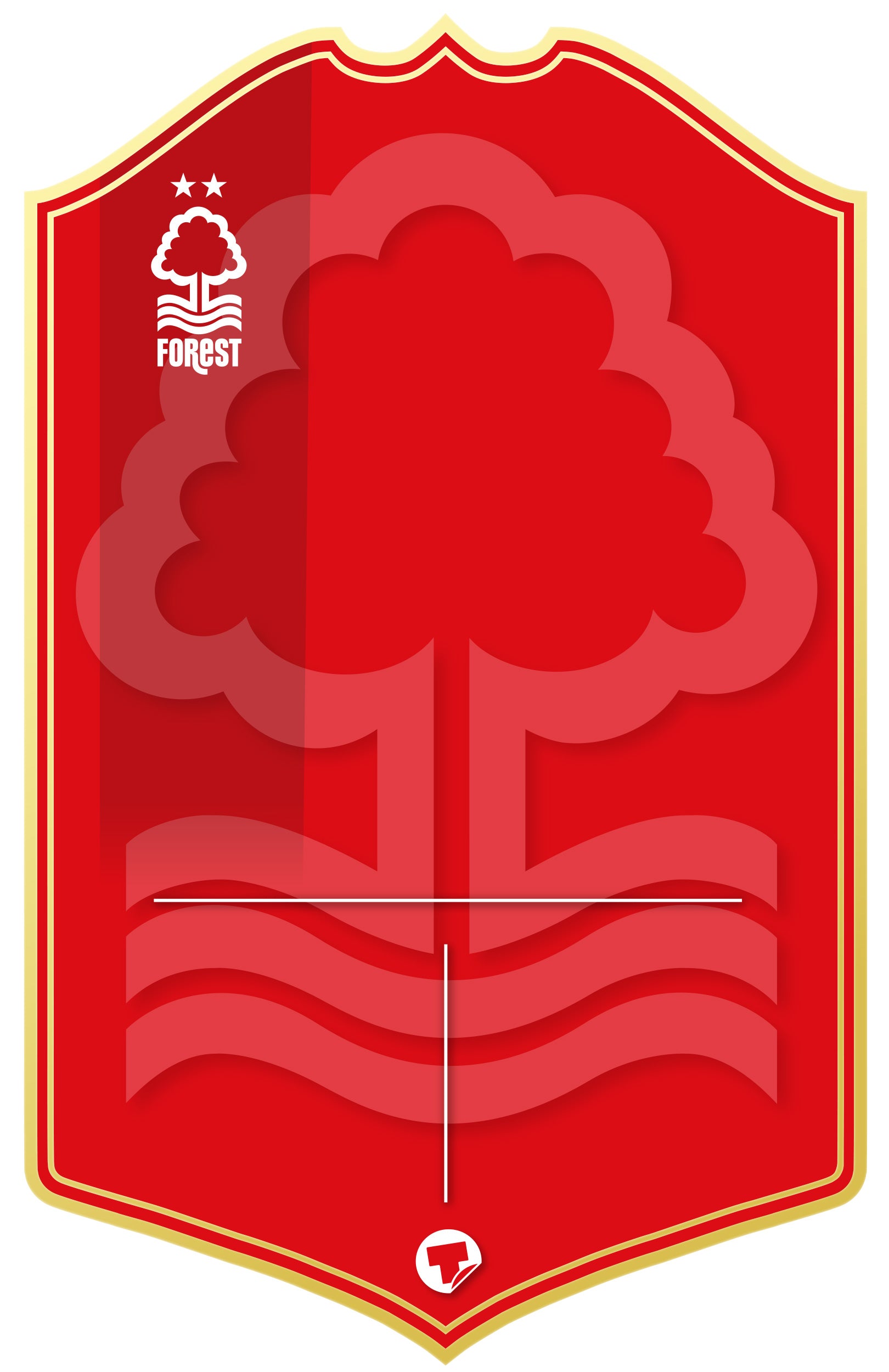 Nottingham Forest Personalised Stats Card – Uk