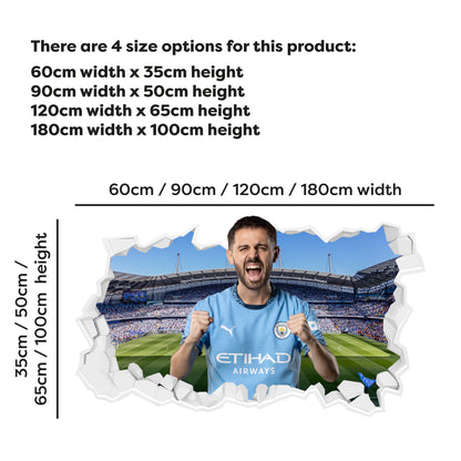 Manchester City FC - Silva 24/25 Broken Wall Sticker + Decal Set