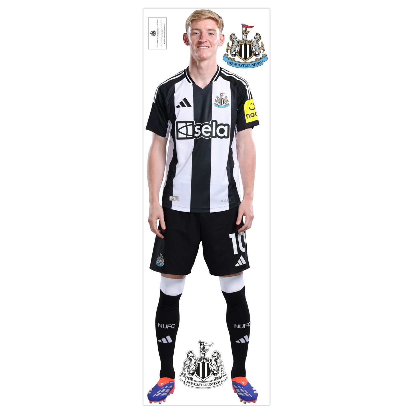 Newcastle United Wall Sticker -  Gordon Player Wall Decal Football Art