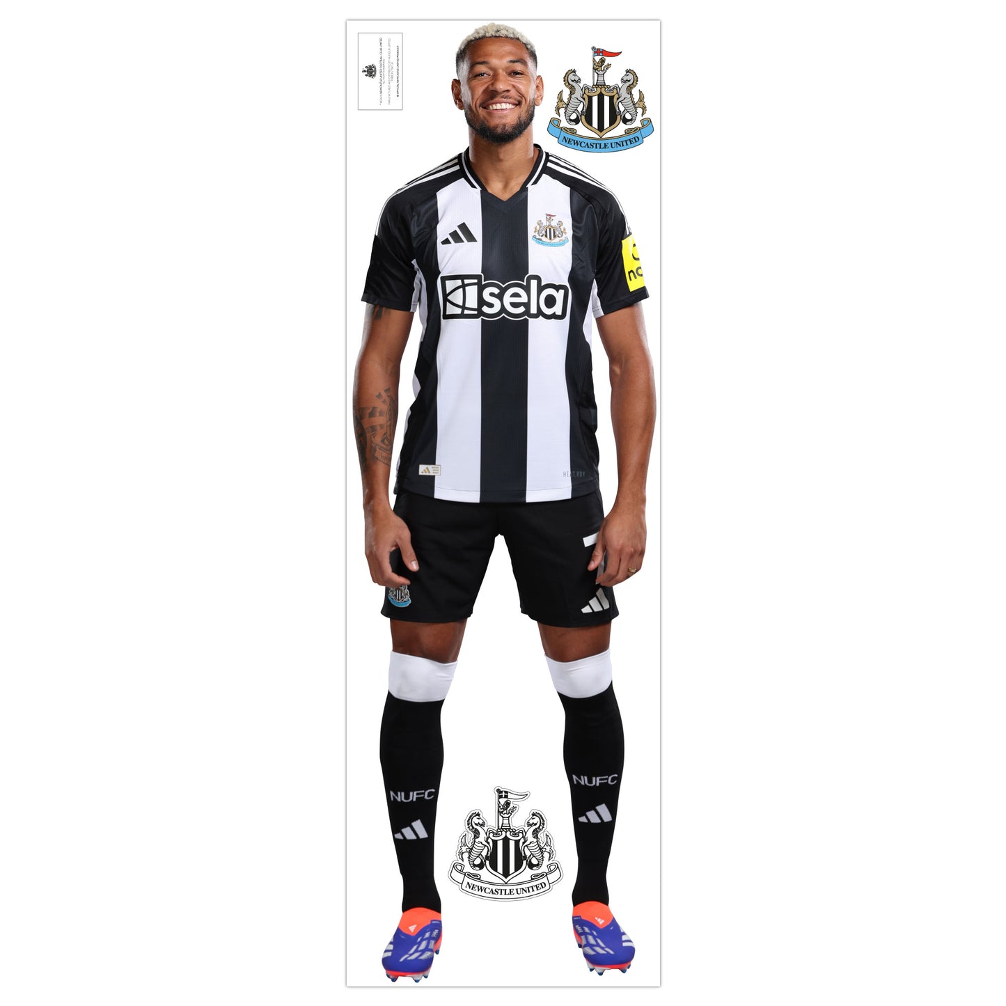 Newcastle United Wall Sticker -  Joelinton Player Wall Decal Football Art