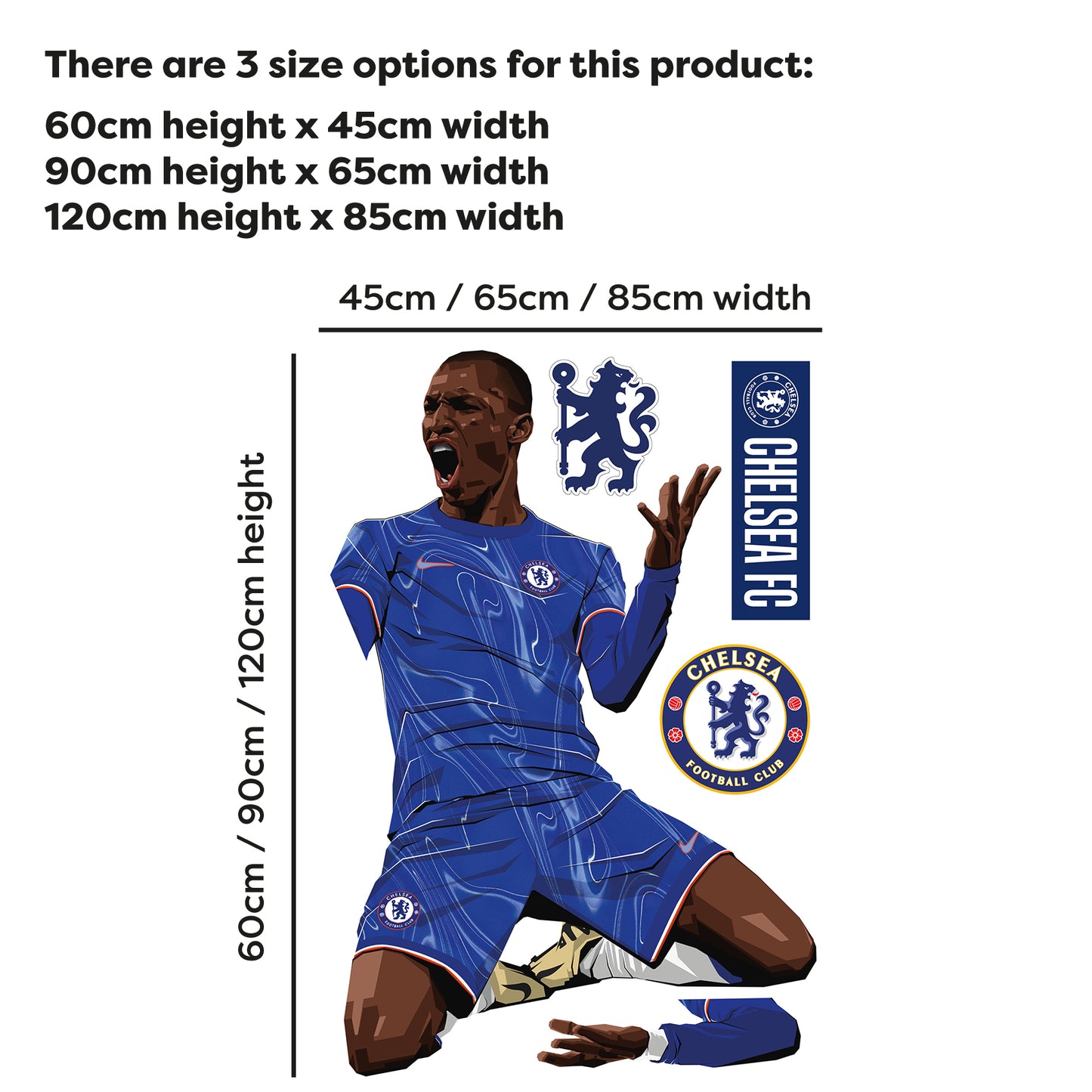 Chelsea Football Club - Nicolas Jackson 24-25 Illustration Wall Sticker