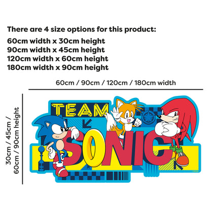 Sonic The Hedgehog Wall Sticker - Team Sonic Wall Art