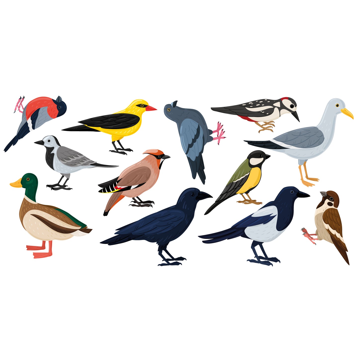 Animal Wall Sticker - Set Of Twelve Birds Decal Wall Art