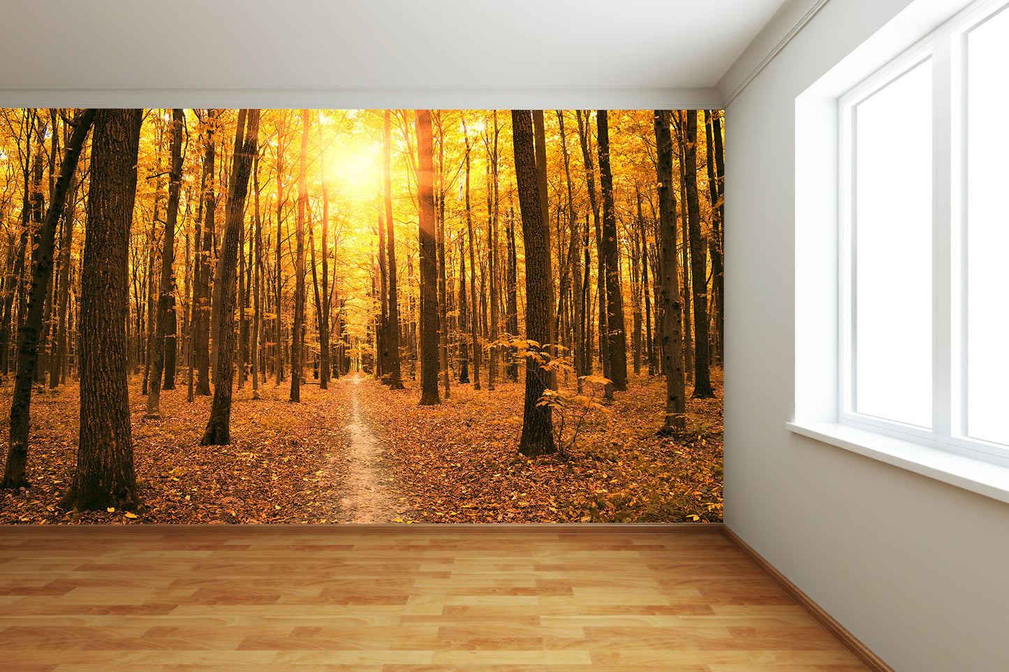 Autumn Forest 2 Wall Mural