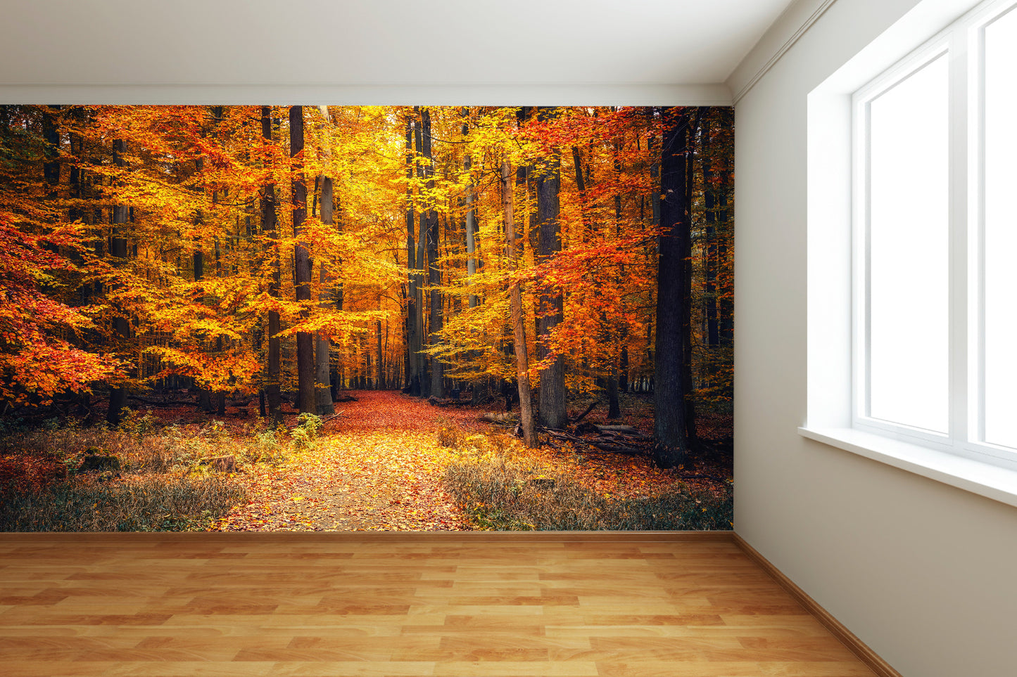 Autumn Forest Wall Mural