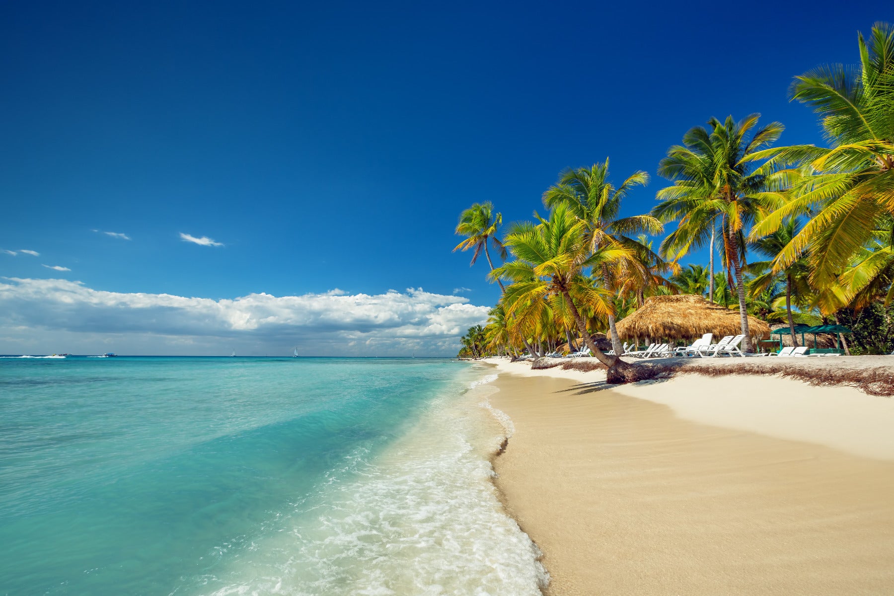 Tropical Beach Wall Mural