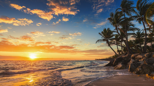 Sunset Beach Wall Mural