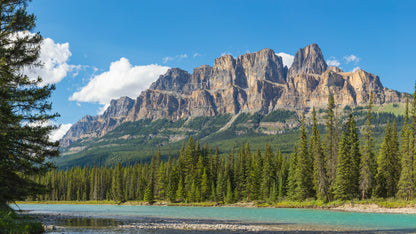 Castle Mountain Bow River Canada Wall Mural