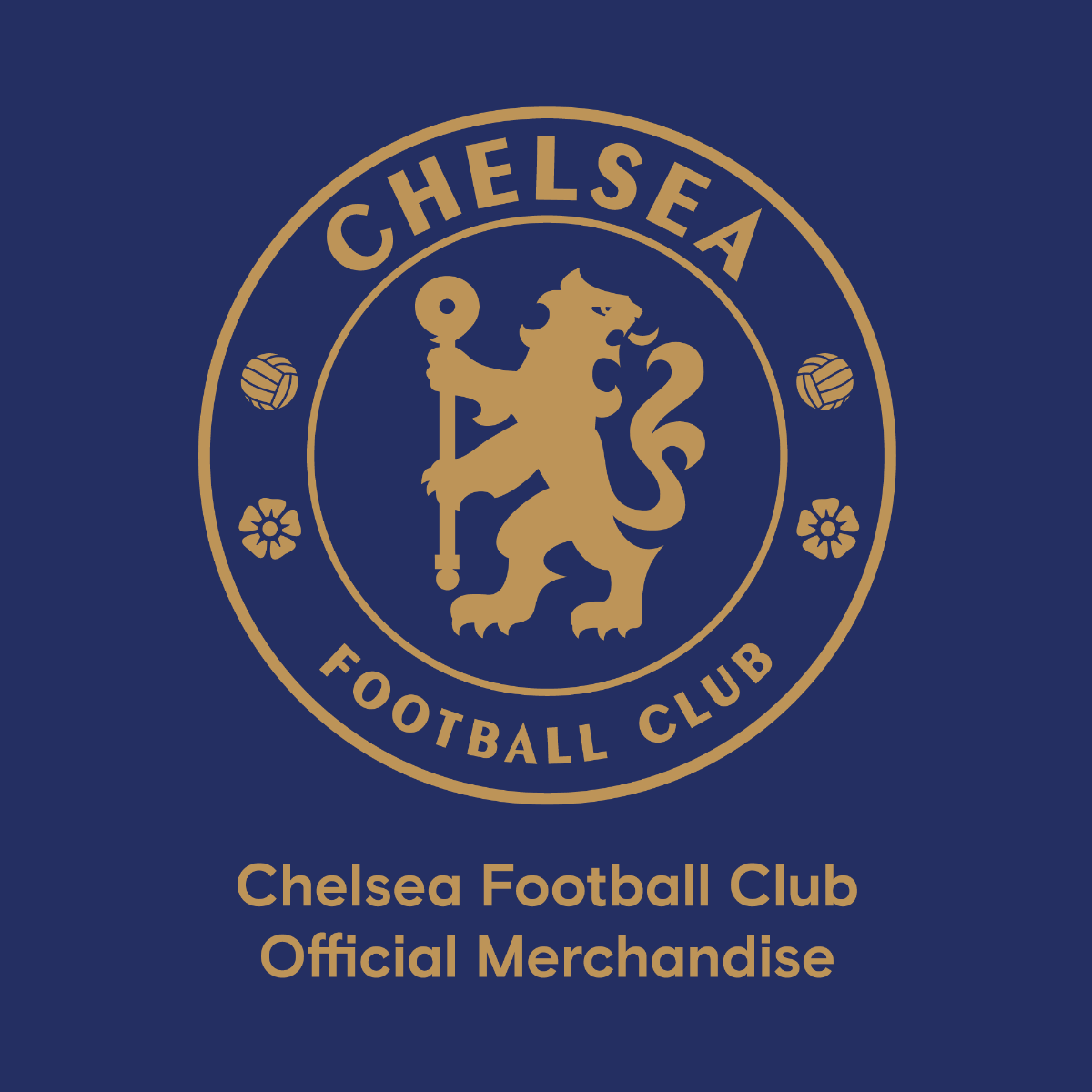 Chelsea FC - Palmer 24/25 Wall Sticker + CFC Decal Set