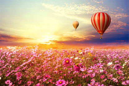 Cosmo Field Hot Air Balloons in Sunset Wall Mural