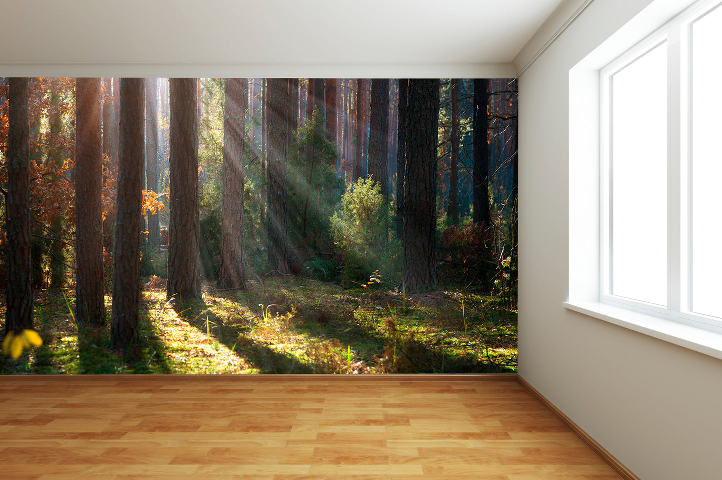 Forest Wall Mural