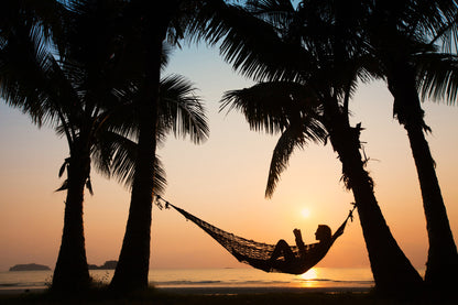 Hammock in Sunset Wall Mural