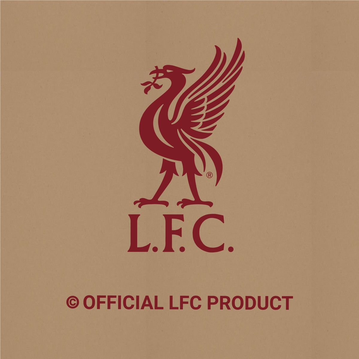 Liverpool FC Wall Sticker - Mo Salah 23/24 Broken Wall