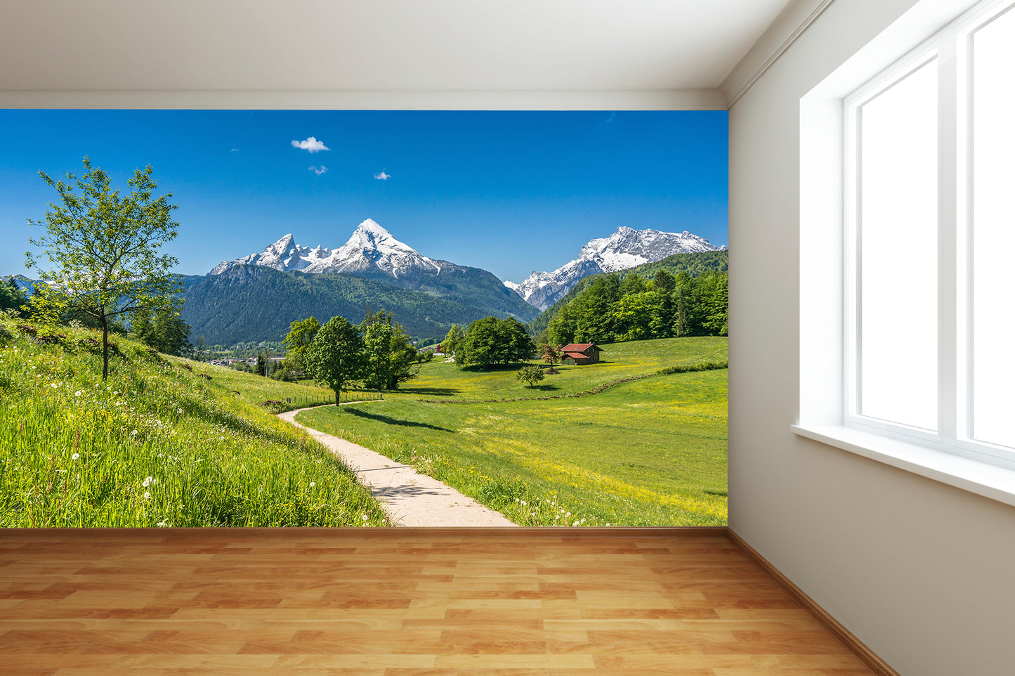 Alps from Walk Path Wall Mural