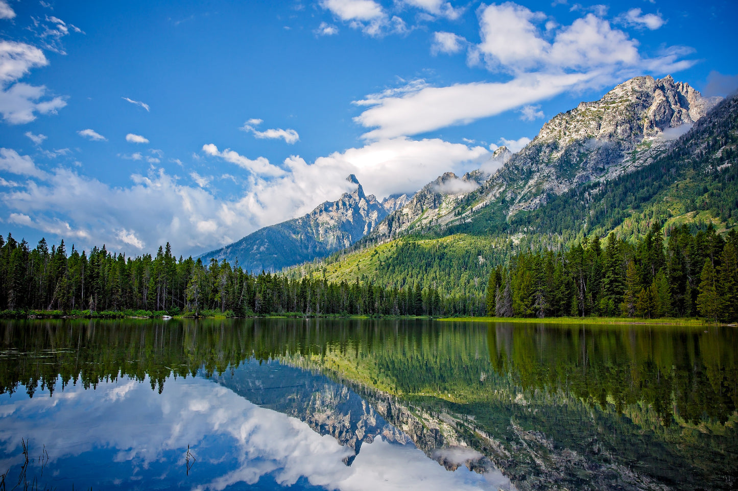 Rocky Mountains Wall Mural