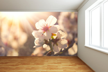 Spring Blossom Wall Mural