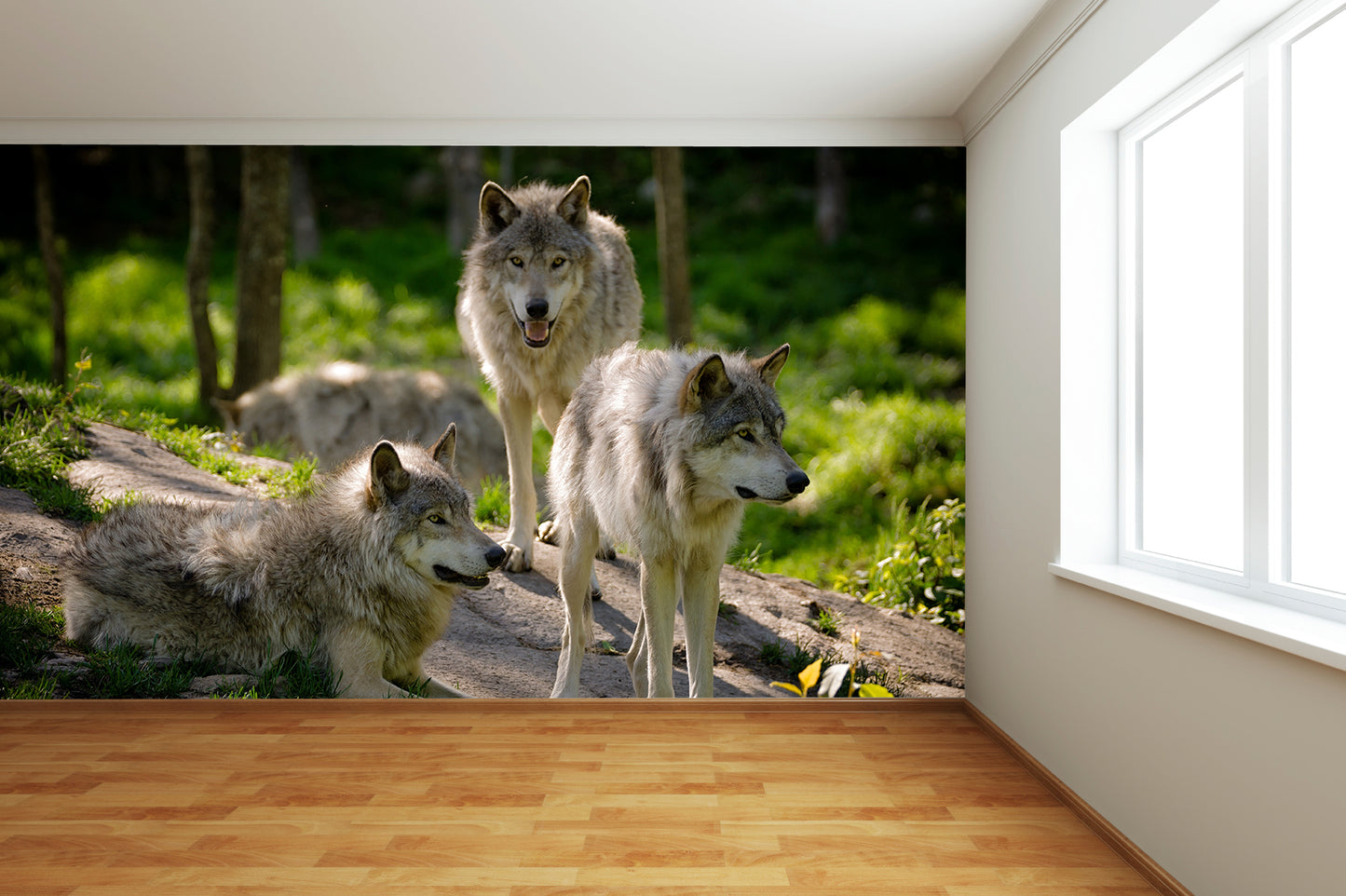 Wolf Pack Wall Mural