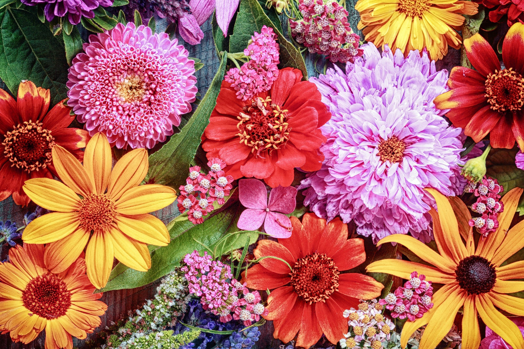 Multicoloured Flower Wall Mural